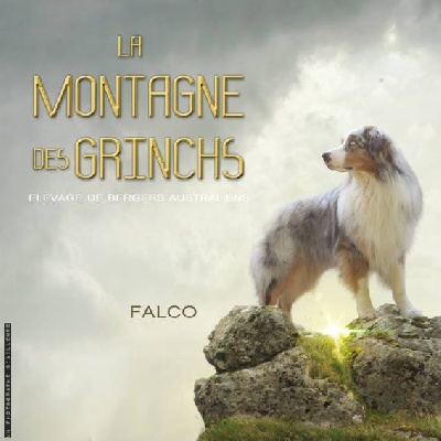 de la montagne des grinchs